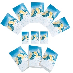 Set carnetele de buzunar Pisica 10 + 1, 100 foi albe, 5 x 8 cm