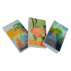Set Acvatica, 3 carnetele de buzunar, 3 x 200 pagini albe, 5 x 8 cm