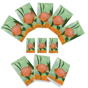 Set carnetele de buzunar Discus 10 + 1, 100 foi albe, 5 x 8 cm