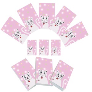 Set carnetele de buzunar Miau 10 + 1, 100 foi albe, 5 x 8 cm