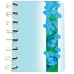 Carnet cu spira Nu-ma-uita turcoaz, 7 x 10 cm, 75 foi veline