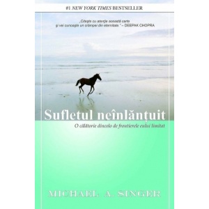 Sufletul neinlantuit. O calatorie dincolo de frontierele eului limitat - Michael A. Singer