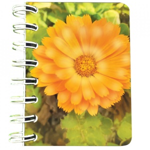 Carnet cu spira Floare portocalie, 7 x 10 cm, 75 foi veline
