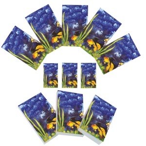 Set carnetele de buzunar Acvatica 10 + 1, 100 foi albe, 5 x 8 cm