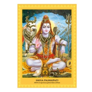 Set postere 22 Ipostaze Shiva - Ganesha - Img 2
