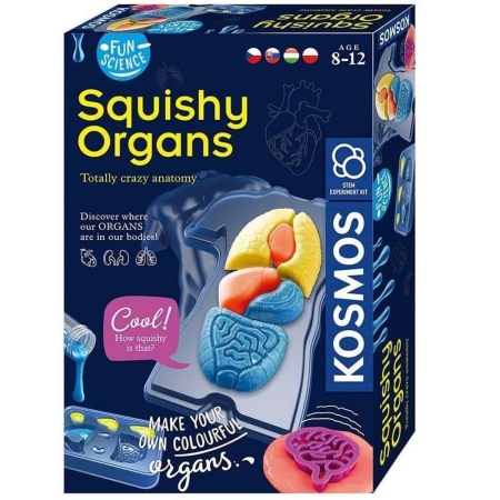 Fun Science - Squishy Organs