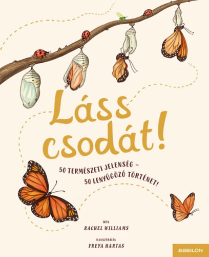 Láss csodát! - 50 természeti jelenség – 50 lenyűgöző történet