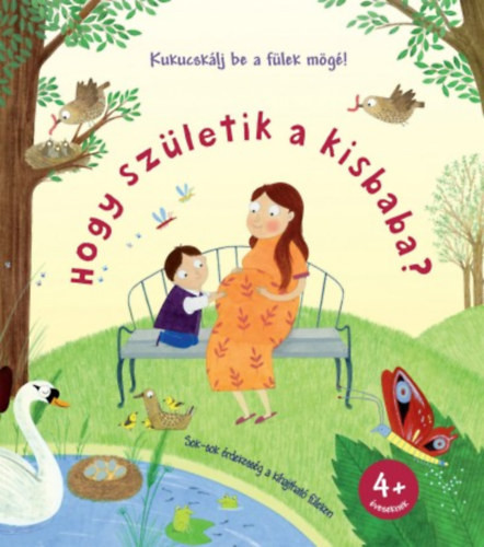 Kukucskálj be a fülek mögé! - Hogy születik a kisbaba?