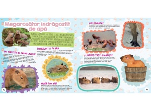 Cartea de activități „Capibara – Cel mai drăguț animal” de la Kreativ, cu informații despre capibare, activități creative și mesaje pozitive care inspiră copiii să descopere lumea cu zâmbetul pe buze.