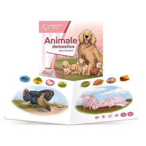 Răspundel istețel - Animale domestice - Img 2