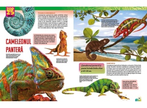 Carte Top 25 Animale Sălbatice Spectaculoase 3D cu imagini tridimensionale și informații educative despre cele mai fascinante animale ale lumii.