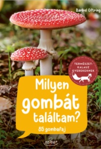 Milyen gombat talaltam