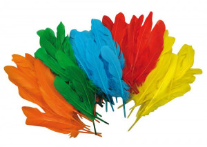 Playbox Pene colorate