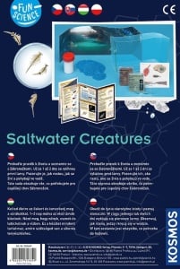 Saltwater creatures - Img 2