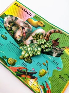 Cartea pop-up Formidabila carte cu broaște și alte creaturi acvatice, cu ilustrații detaliate ale broaștelor, crocodililor și altor animale care trăiesc în zonele umede.