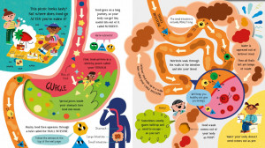 Step inside Science: Your Body - Img 4