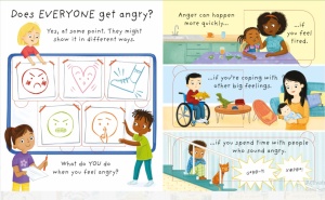 Why do I feel angry? - Img 3