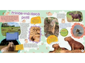 Cartea de activități „Capibara – Cel mai drăguț animal” de la Kreativ, cu informații despre capibare, activități creative și mesaje pozitive care inspiră copiii să descopere lumea cu zâmbetul pe buze.