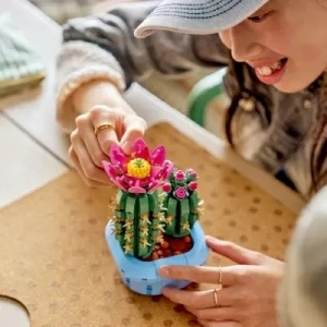Model LEGO Botanicals Cactus înflorit cu flori roz și ghiveci albastru pastel, construit din 482 de piese și expus ca decorațiune modernă pentru cameră sau birou.