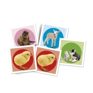 Memo Game – Baby Animals: joc de memorie cu animale drăgălașe, colorat și educativ, perfect pentru dezvoltarea copiilor.