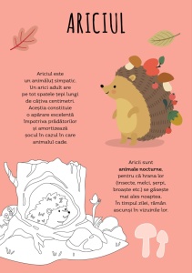 Pădurea – carte de activități pentru copii, cu abțibilduri și ilustrații de colorat despre animalele și plantele din natură.