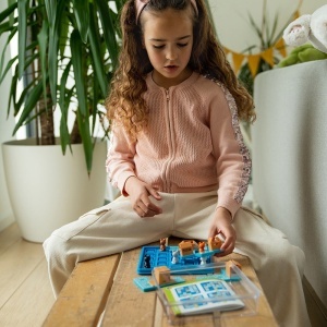 smart games cats - Img 4