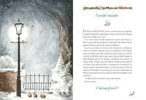 Vine Craciunul! 24 de povesti cu Tilda, Snofrid si alti prieteni - Img 3