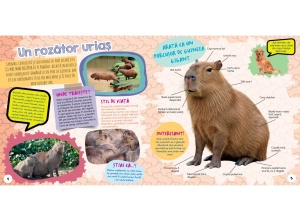 Cartea de activități „Capibara – Cel mai drăguț animal” de la Kreativ, cu informații despre capibare, activități creative și mesaje pozitive care inspiră copiii să descopere lumea cu zâmbetul pe buze.