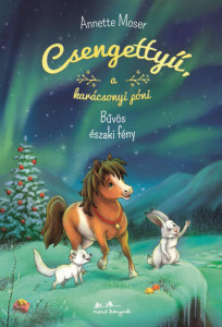 Csengettyű a karácsonyi póni 3. A bűvös északi fény