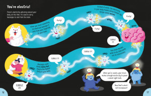 Lots of Things to Know About Your Body - Img 4