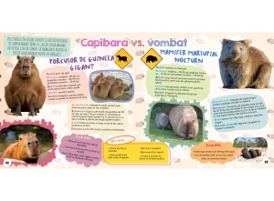 Cartea de activități „Capibara – Cel mai drăguț animal” de la Kreativ, cu informații despre capibare, activități creative și mesaje pozitive care inspiră copiii să descopere lumea cu zâmbetul pe buze.