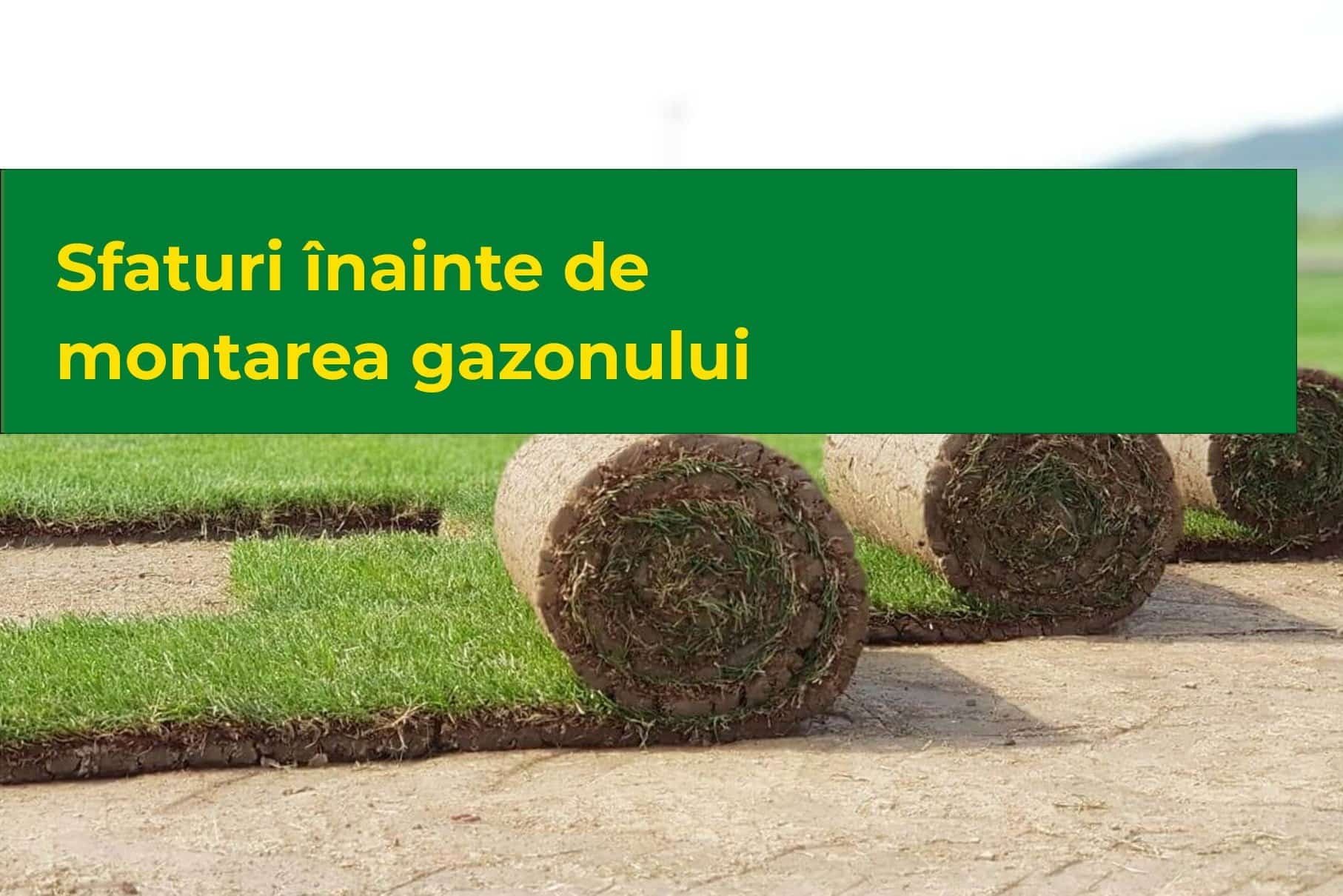 Sfaturi înainte de montarea gazonului