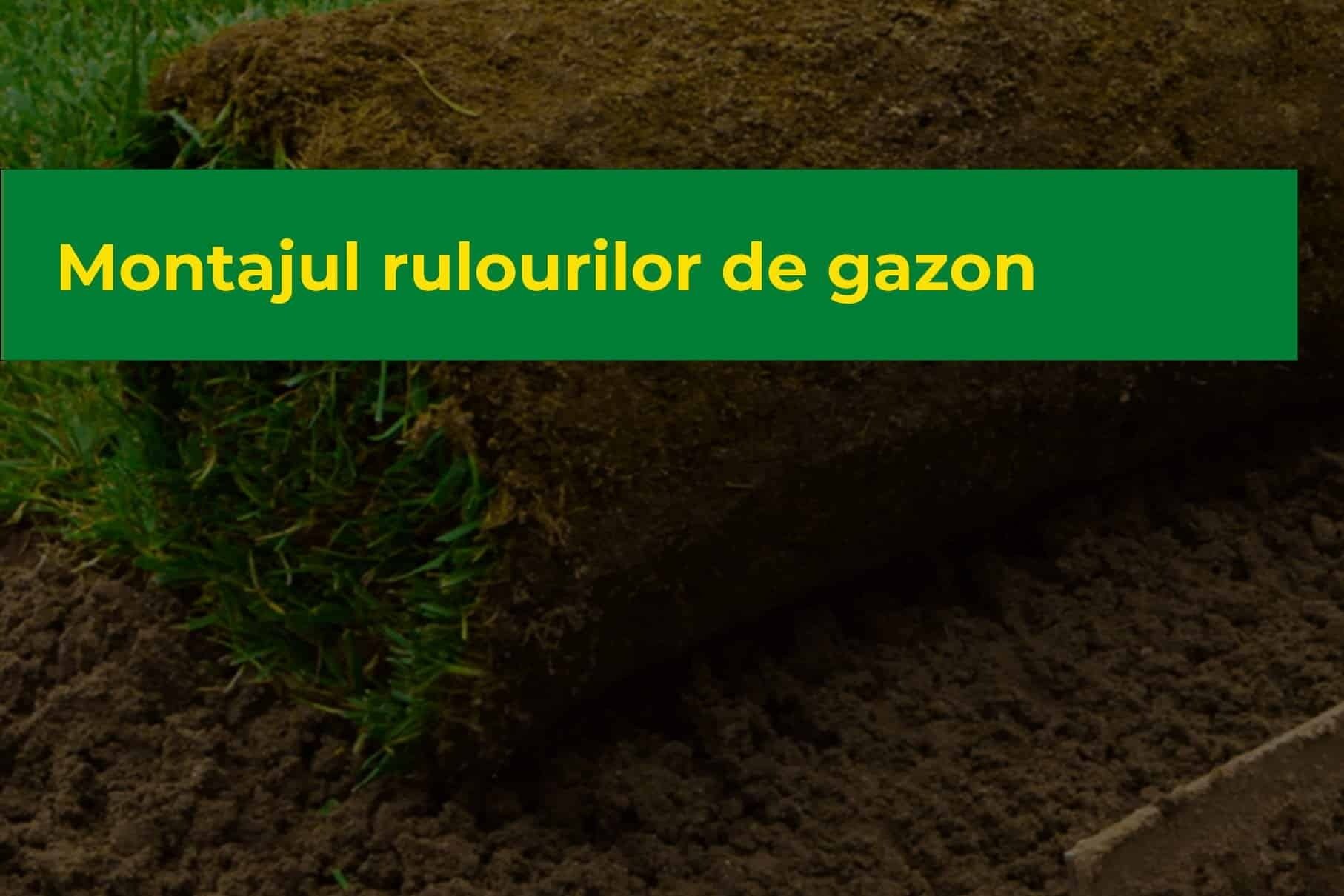 Montajul rulourilor de gazon