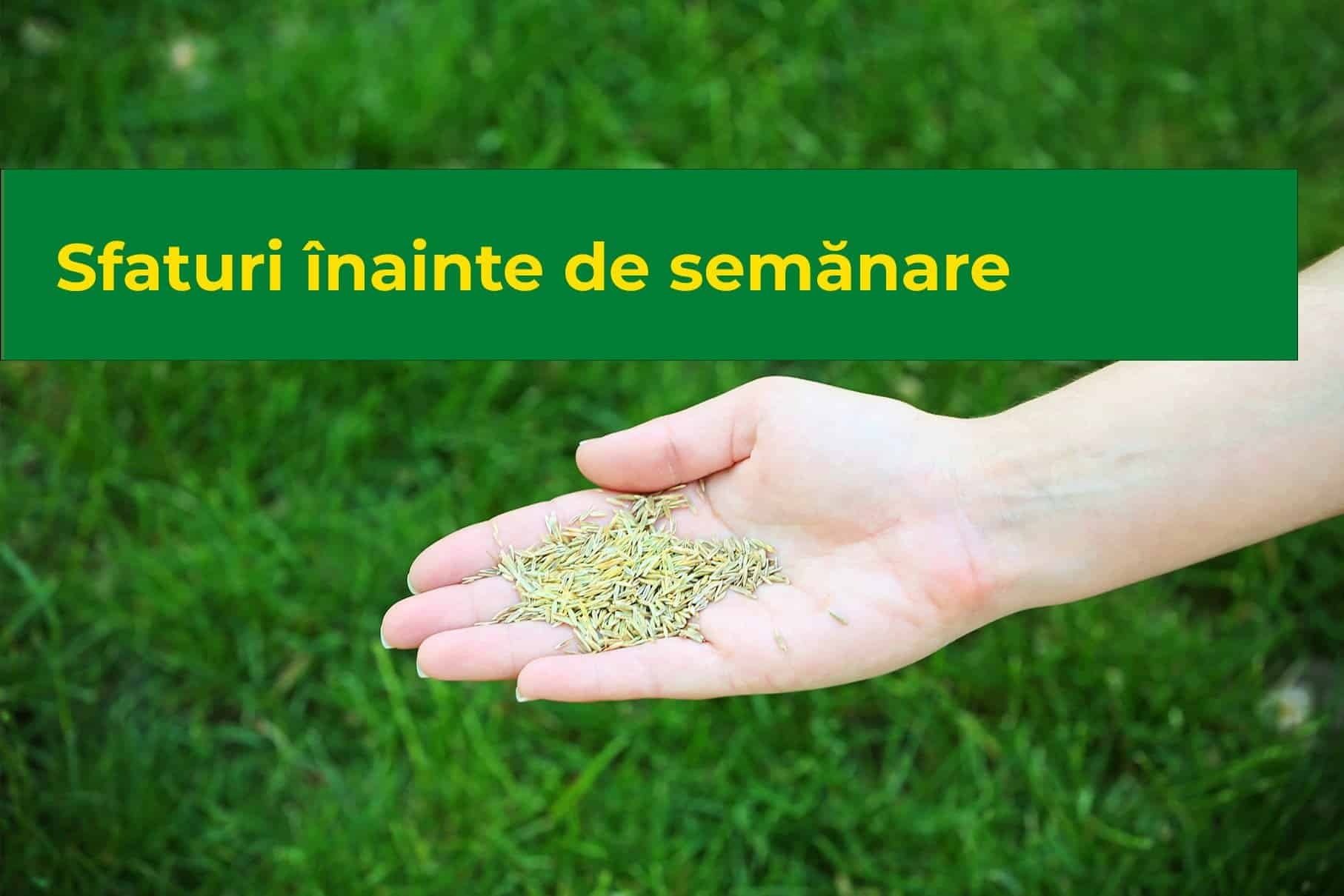 Sfaturi înainte de semănare