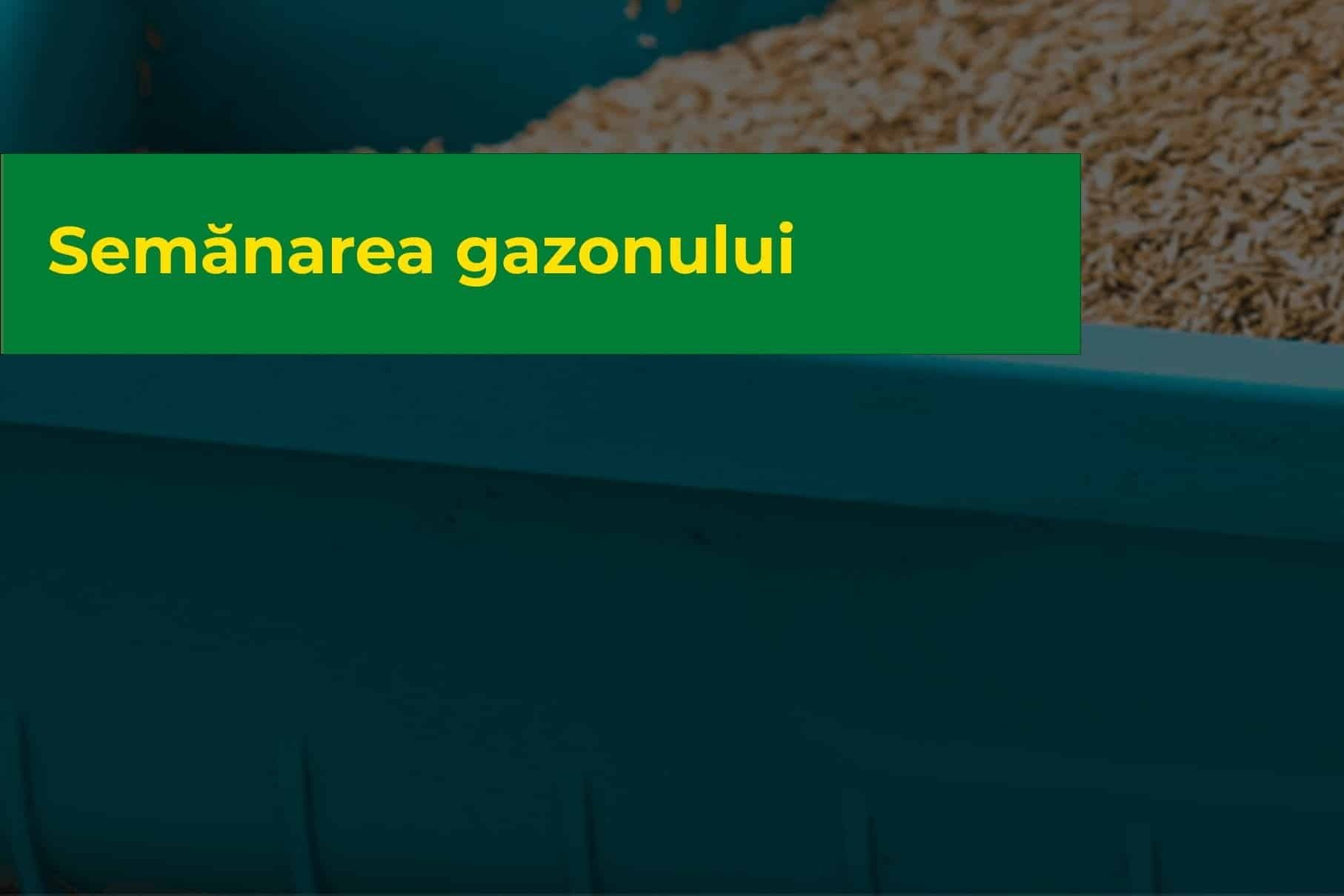 Semănarea gazonului- Ghid complet