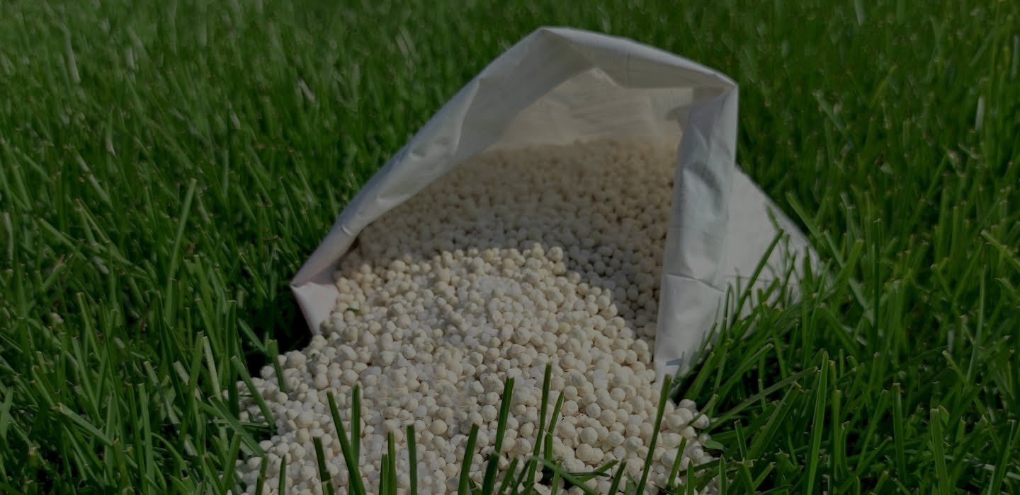 Fertilizarea gazonului