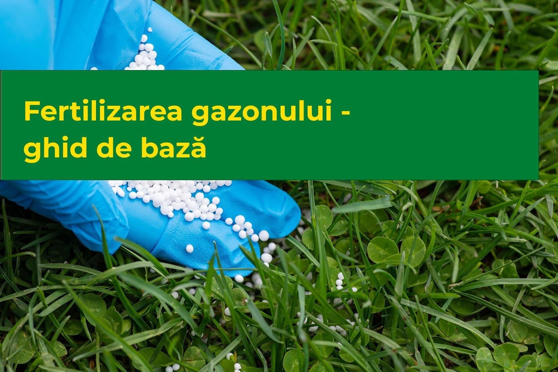 Fertilizarea gazonului - Ghid de bază