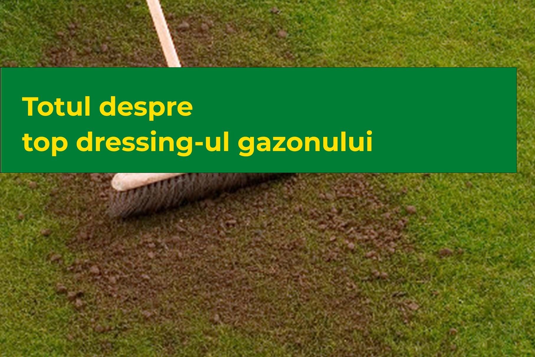 Totul despre top dressing-ul gazonului