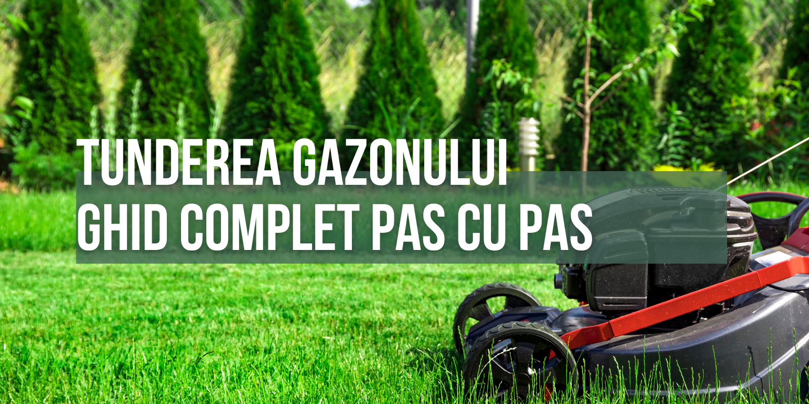 Tunderea gazonului - ghid complet