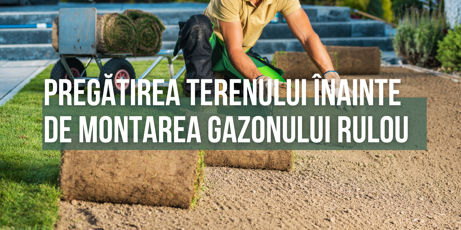 Pregătirea terenului înainte de montarea gazonului rulou
