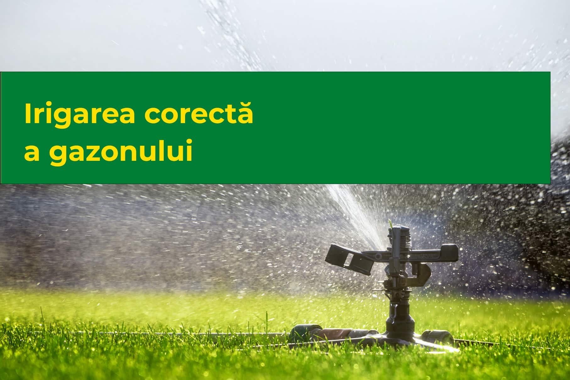 Irigarea corecta a gazonului