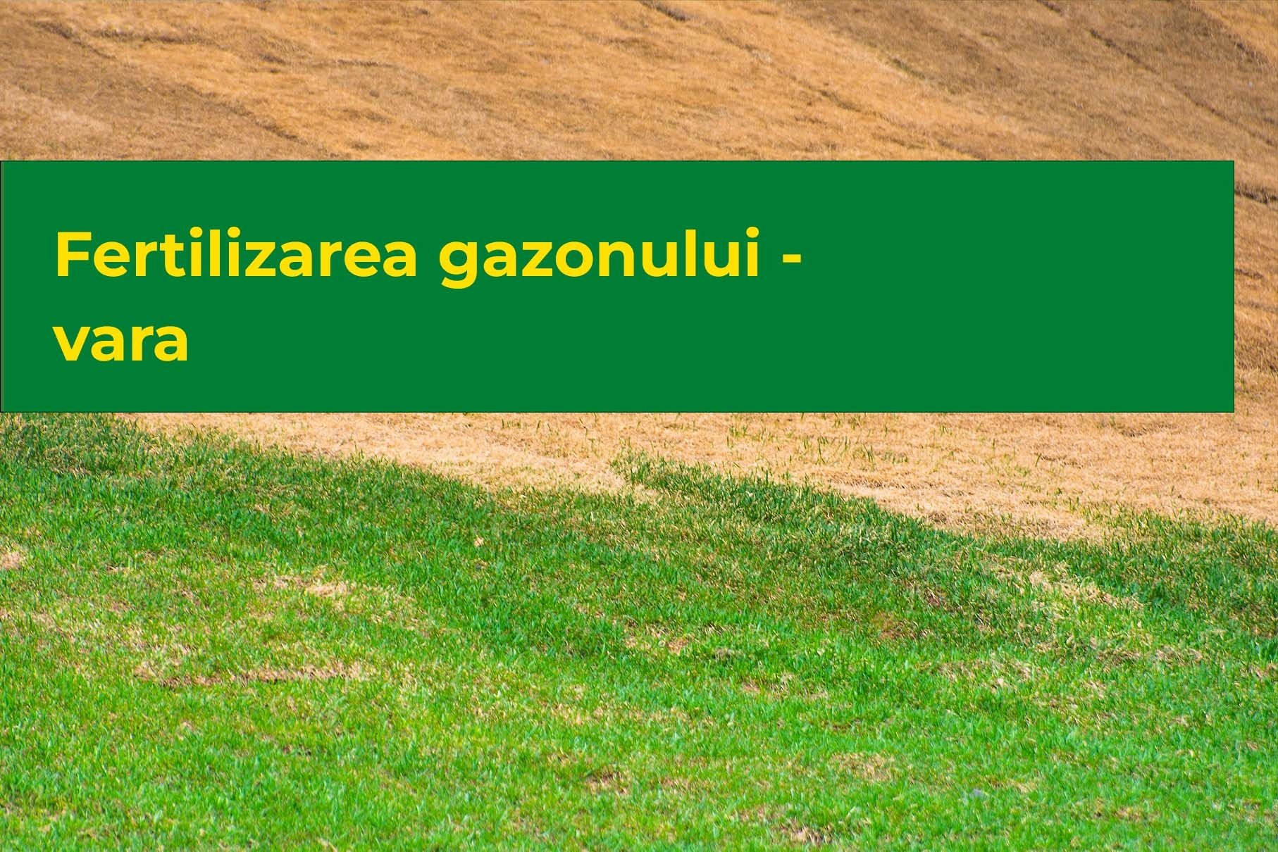 Fertilizarea gazonului vara