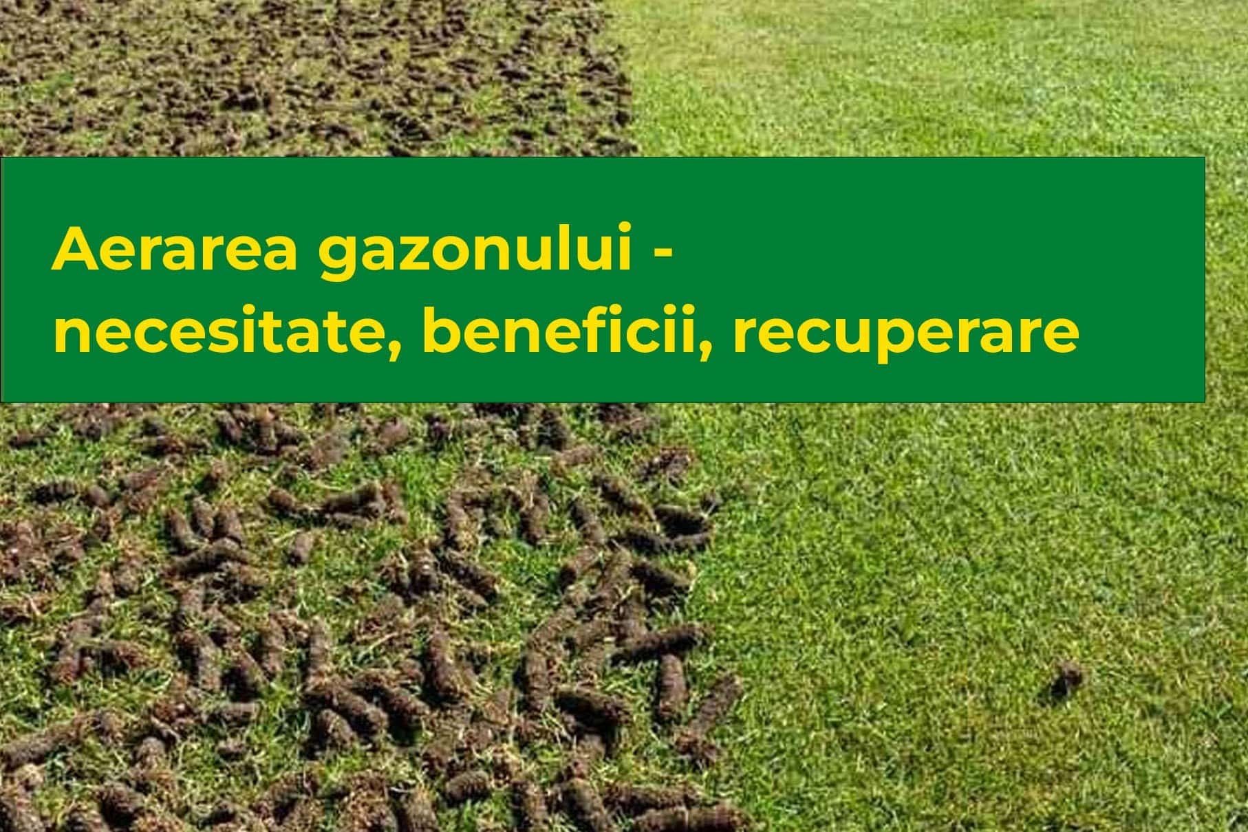 Aerarea gazonului - necesitate, beneficii, recuperare