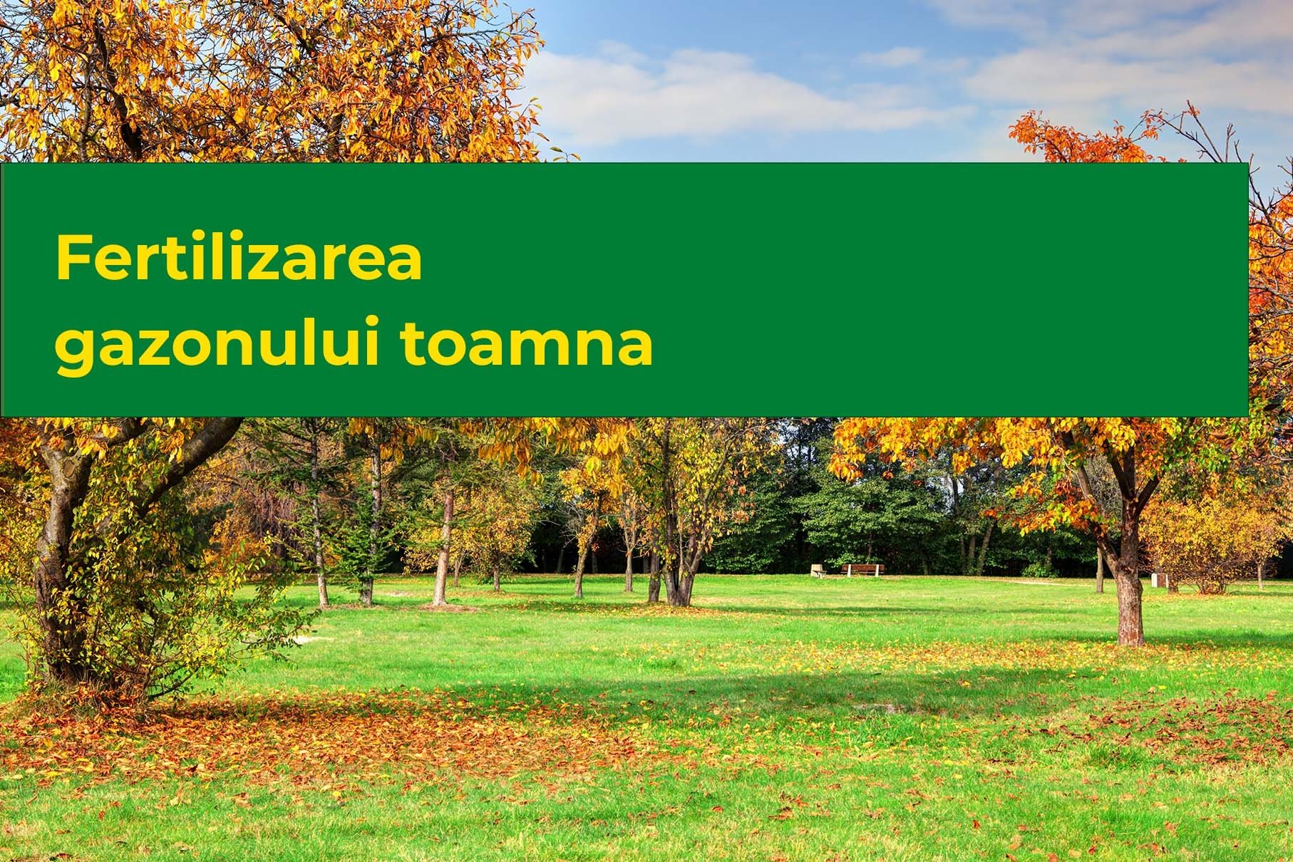 Fertilizarea gazonului toamna
