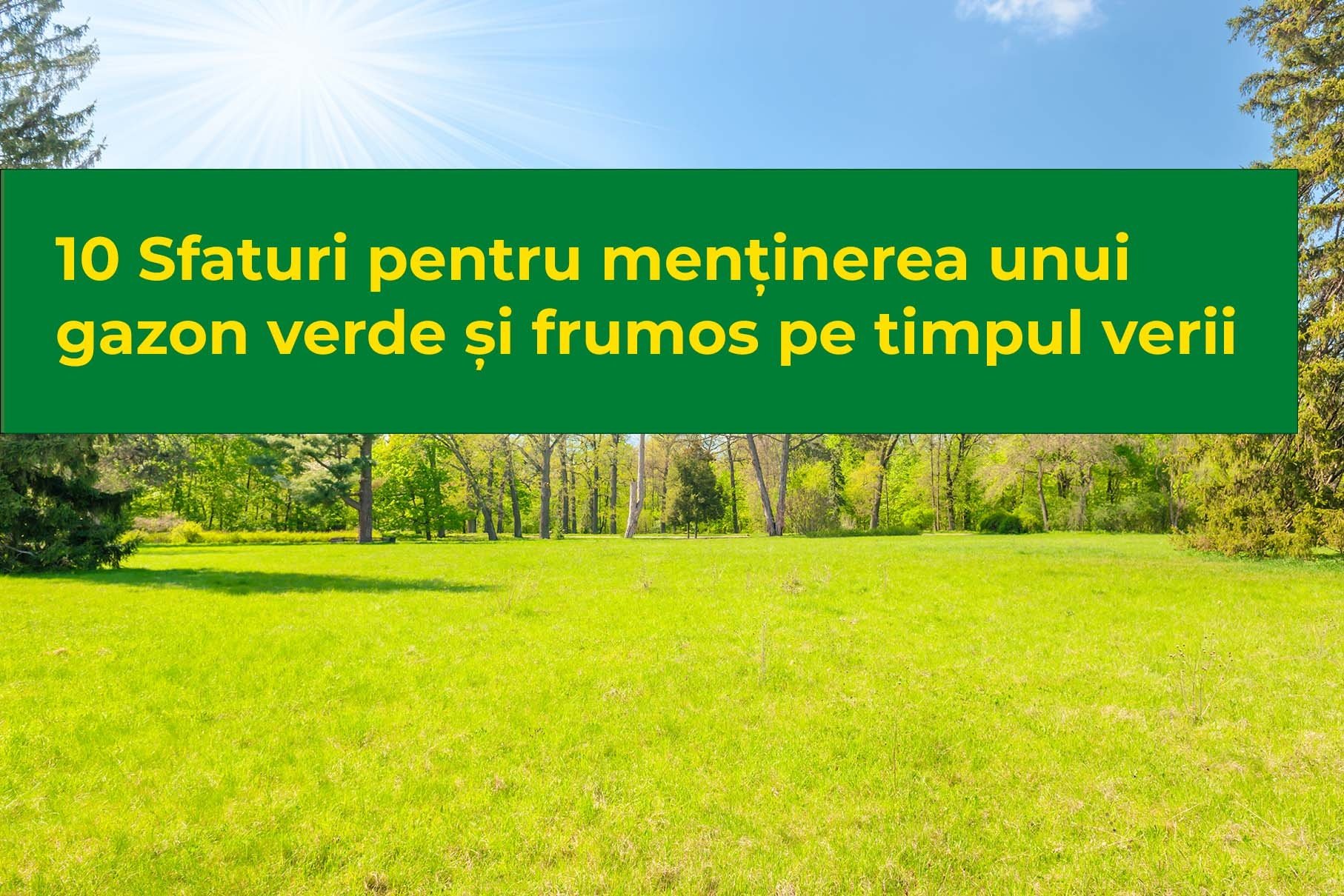 10 sfaturi pentru menținerea unui gazon verde și frumos pe timpul verii