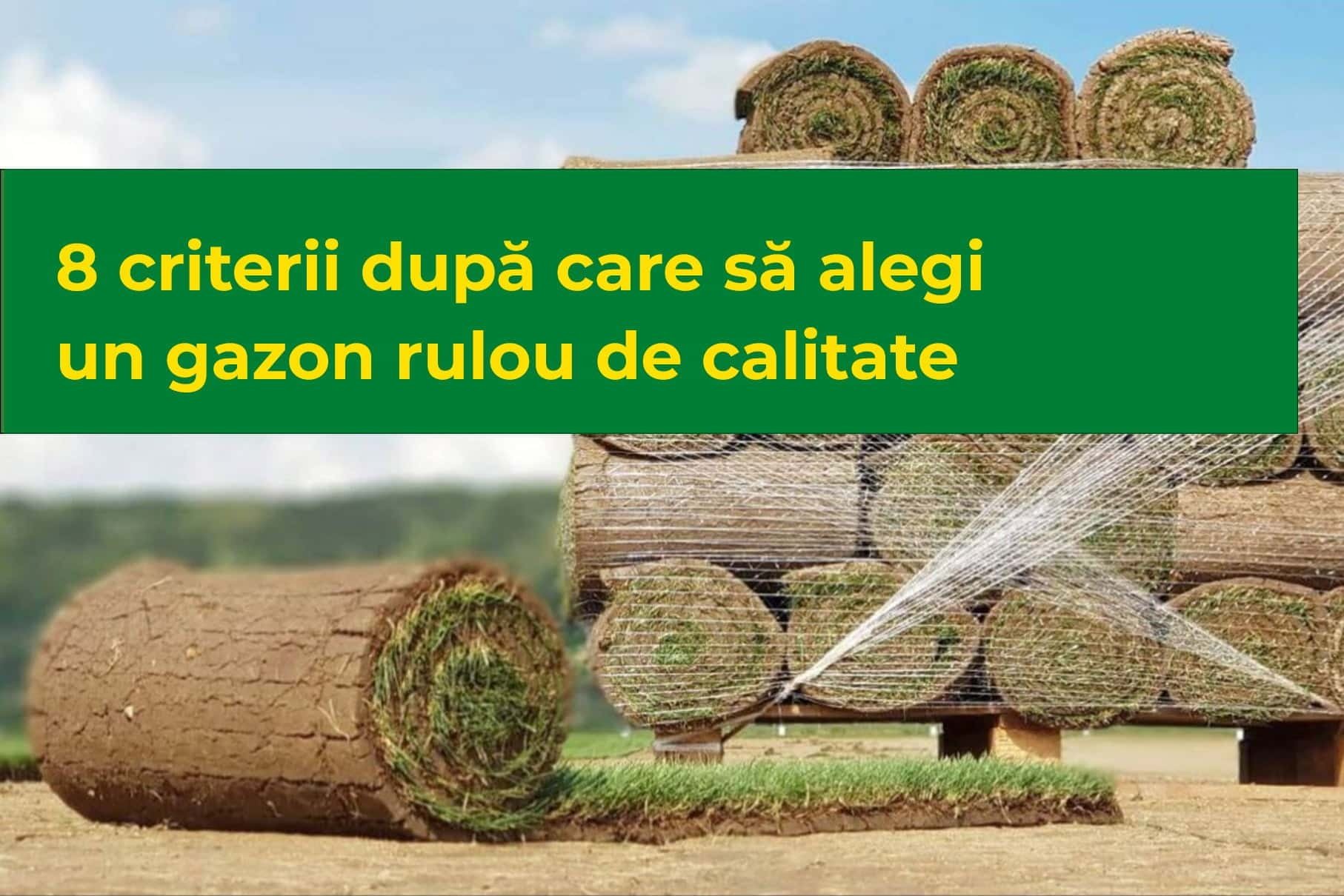 8 criterii după care să alegi un gazon rulou de calitate