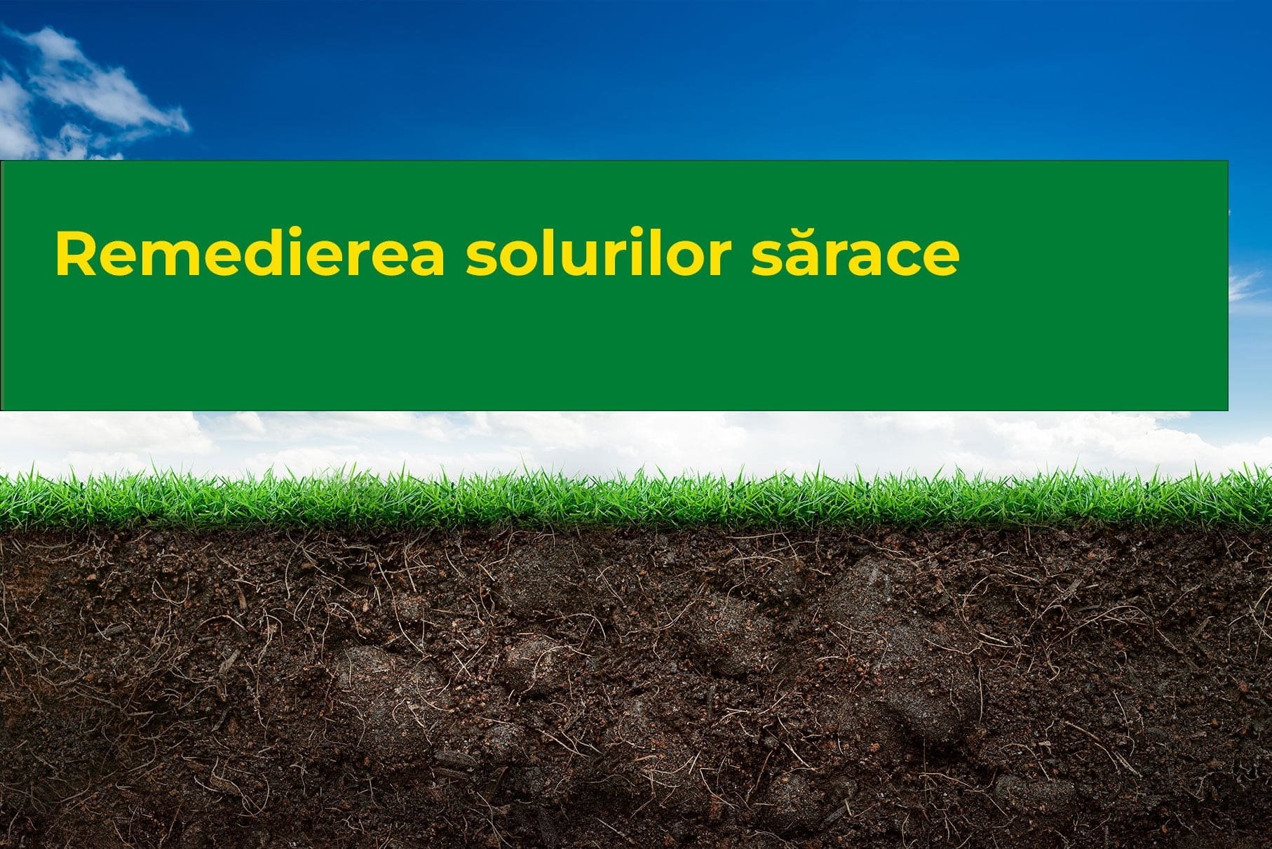 Remedierea solurilor sărace
