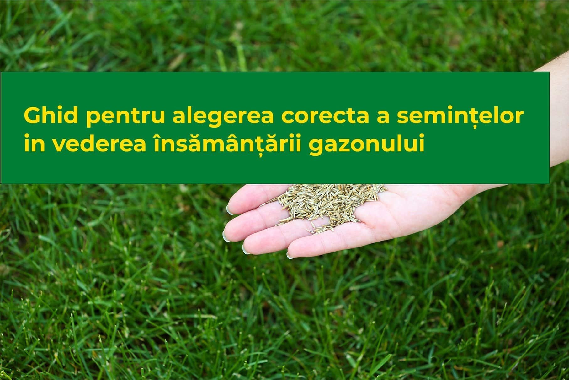 Ghid pentru alegerea corecta a semințelor in vederea însămânțării gazonului