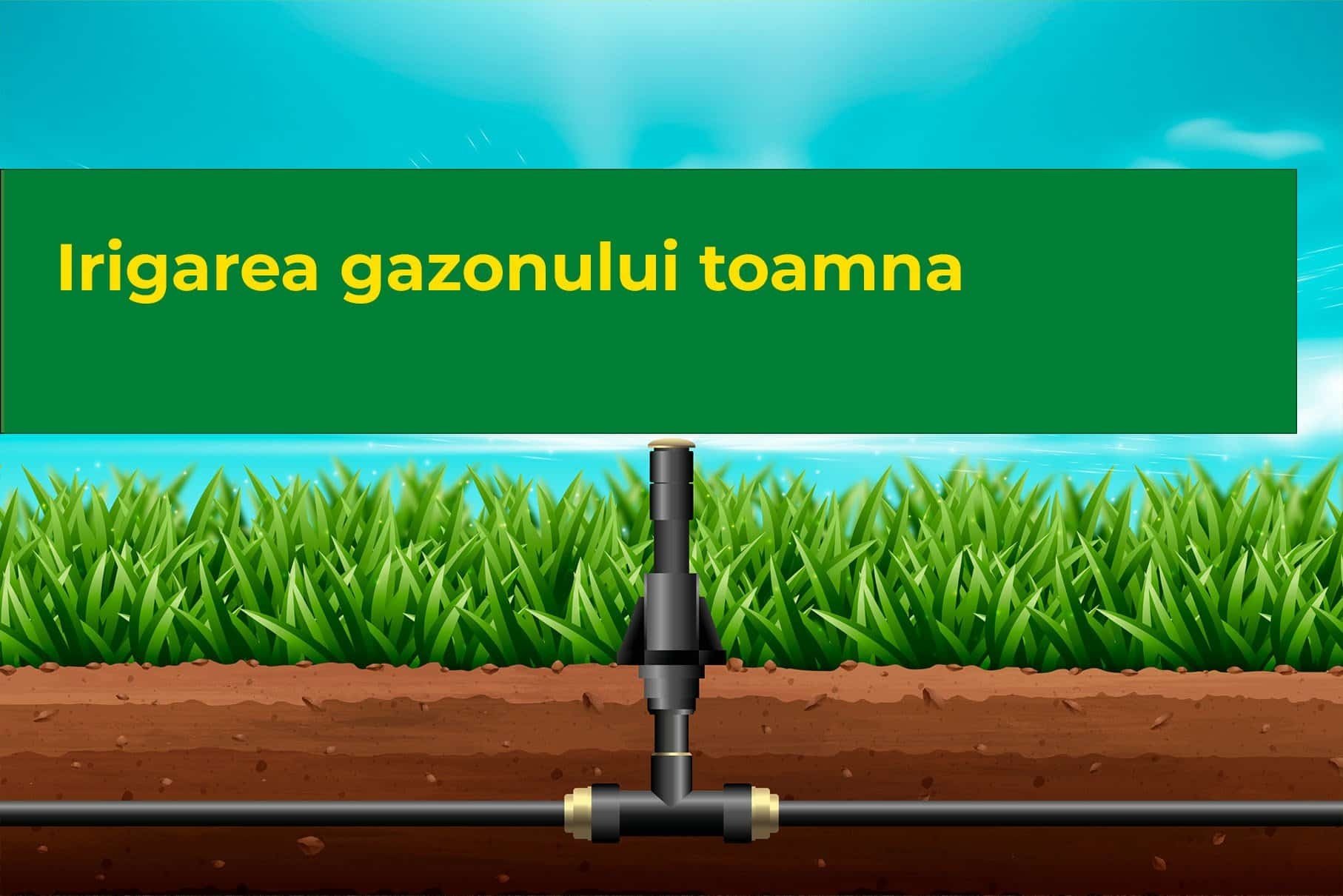 Irigarea gazonului toamna