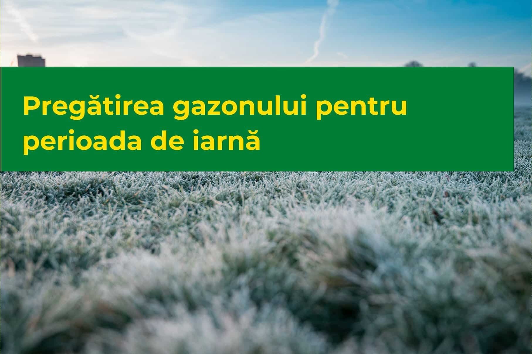 Pregătirea gazonului pentru perioada de iarnă